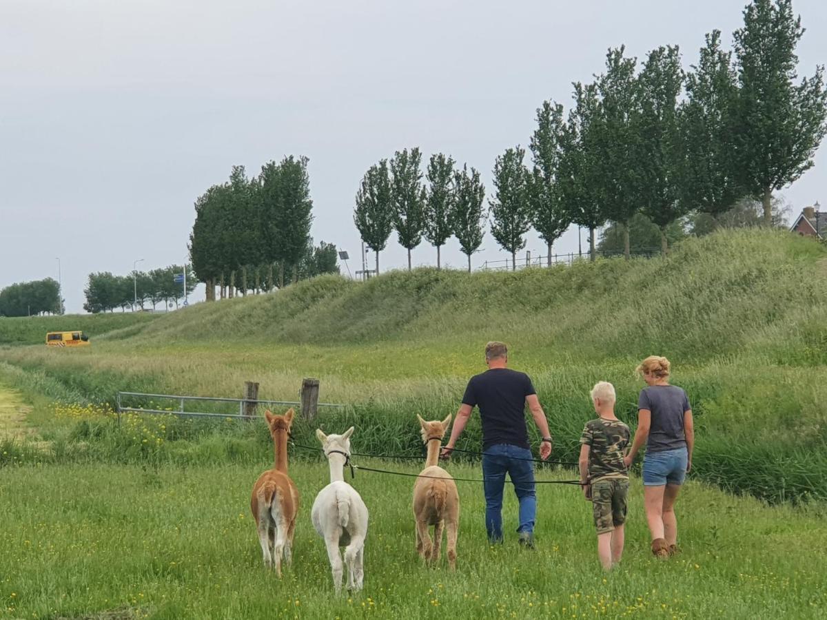Vakantieboerderij Huize Nuis Noordbeemster Exteriör bild
