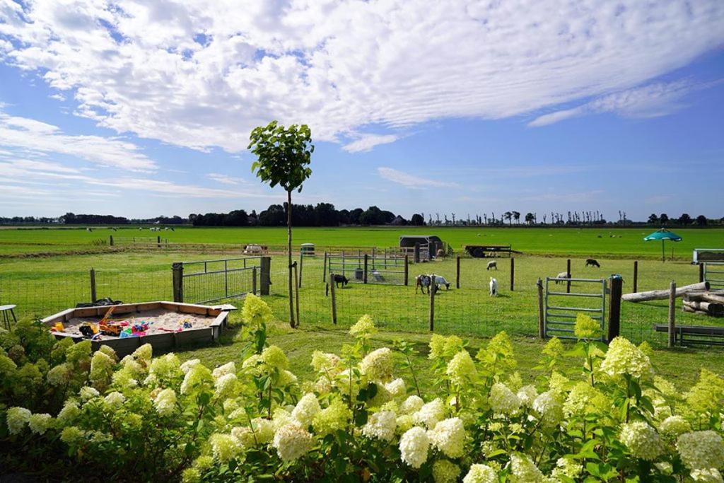Vakantieboerderij Huize Nuis Noordbeemster Exteriör bild